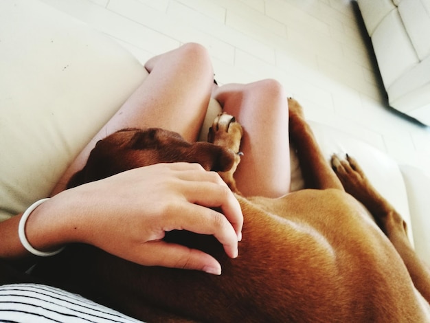 Mastering Doggy Style: Top Tips for Deeper Pleasure