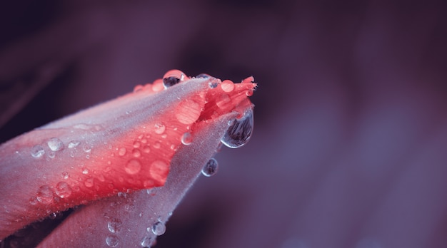 Your Guide to Safe and Sensual Intimate Lubricants