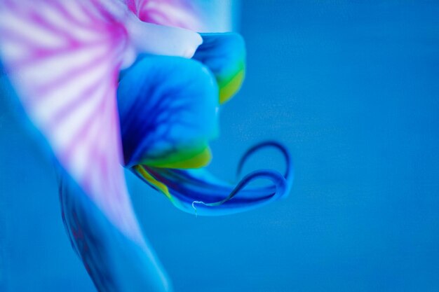 The Ultimate Guide to Orgasms: Waves, Avalanches and More